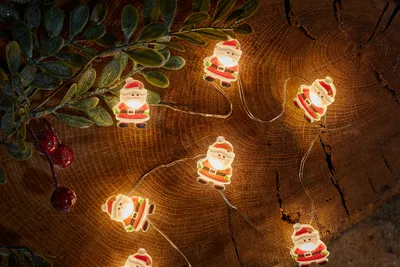 Santa String Lights - Set of 20