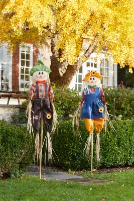 Scarecrow DécoStake - 90cm - image 1