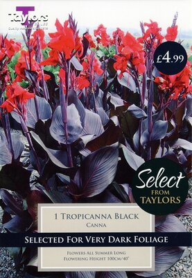 Select Premium Canna Tropicanna Black I