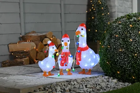 set of 3 lit acrylic ducks with light string