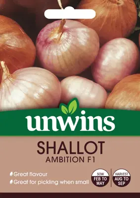 Shallot Ambition F1 - image 1