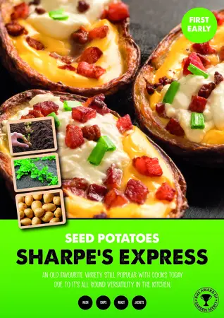 Sharpe's Express 2kg