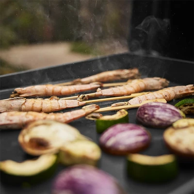Slate GP 43cm Griddle - image 3