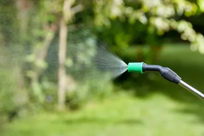 SmartPro Pressure Sprayer - 8.0L - image 1