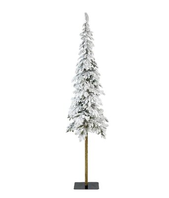 Snowy Alpine Fir 6ft - image 1