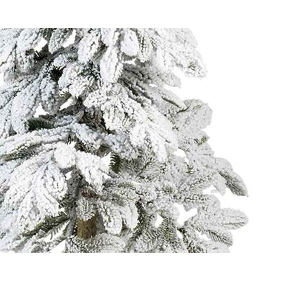 Snowy Alpine Fir 6ft - image 2