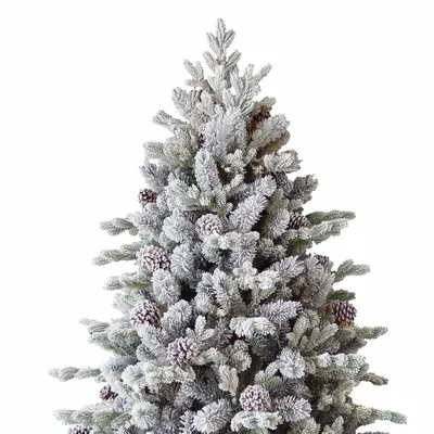 Snowy Dorchester Pine Tree 7.5ft