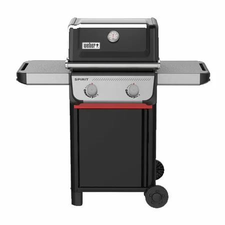 Spirit E-210 - image 1