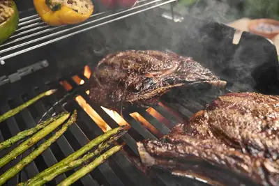 Spirit E-315 - image 3