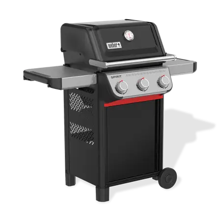 Spirit E-315 - image 1