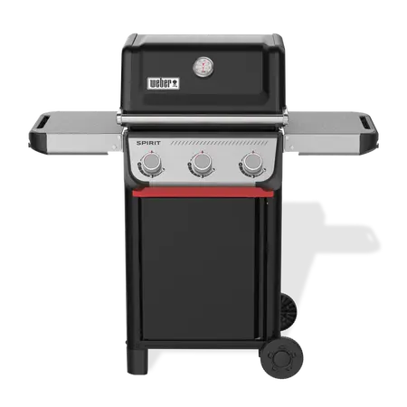 Spirit E-315 - image 2