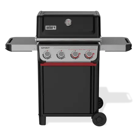 Spirit E-425 - image 1
