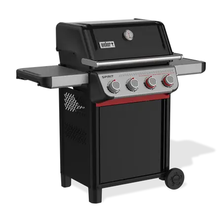 Spirit E-425 - image 2