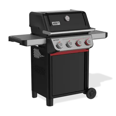 Spirit E-425 - image 2