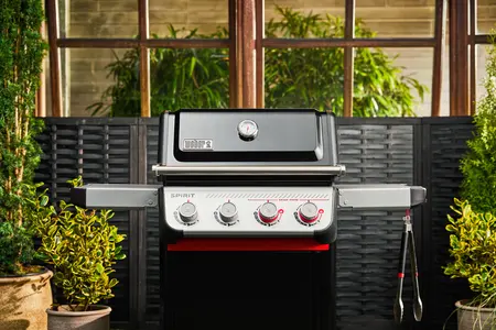 Spirit E-425 with Plancha - image 1