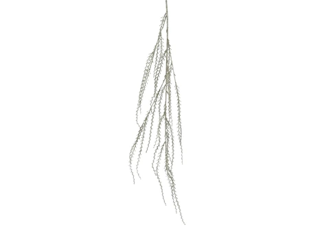 Spray Champagne W.6cm x H.140cm