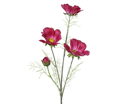Spray Cosmos Bipinnatus On Stem Polyester Fuchsia H.60Cm