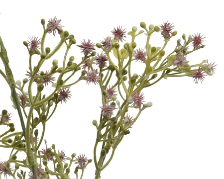 Spray Dandelion Lilac - image 2
