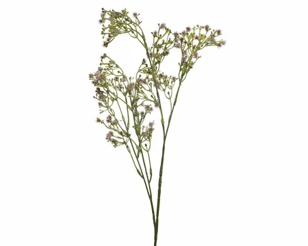 Spray Dandelion Lilac - image 1