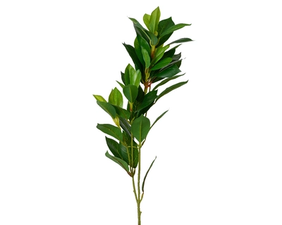 Spray Pe H85.00cm green