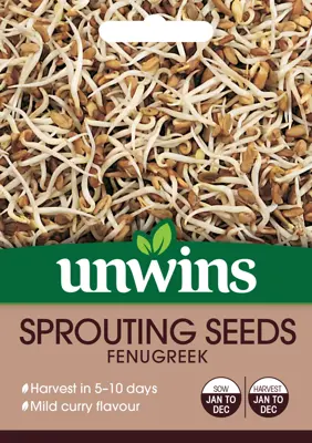 Sprouting Seeds Fenugreek - image 2