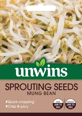 Sprouting Seeds Mung Bean - image 1