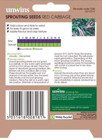 Sprouting Seeds Red Cabbage - image 2