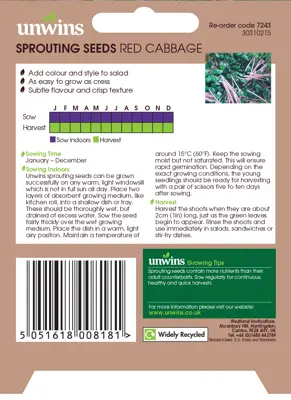 Sprouting Seeds Red Cabbage - image 2