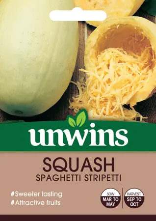 Squash Spaghetti Stripetti - image 1