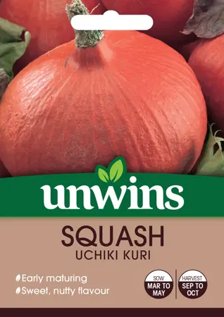 Squash Uchiki Kuri - image 1