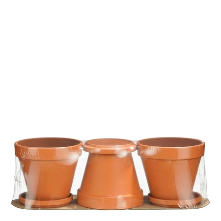 Stan Pot With Saucer Terra 3 Pieces Pdq - H13,5Xd12,5Cm - image 2