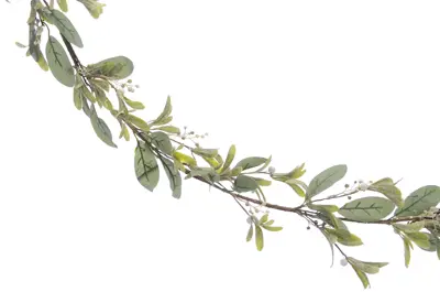 STC 130Cm Green Mistletoe With White Berries Garland