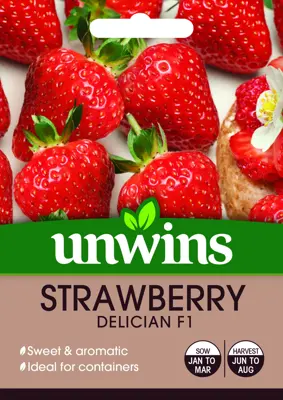 Strawberry Delician - image 2