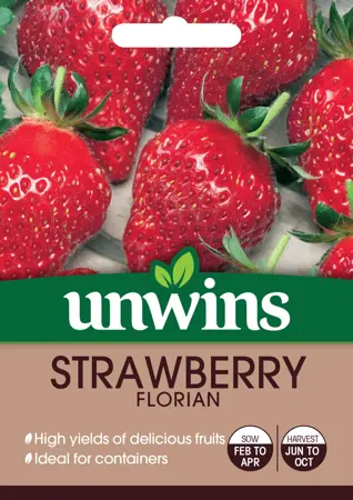 Strawberry Florian - image 1