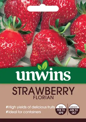 Strawberry Florian - image 2
