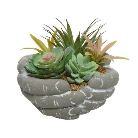 Succulent In Pot Plastic H15.5cm Green