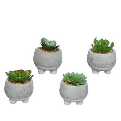 Succulent On Foot Pe Foam Cement Pot H11cm Green