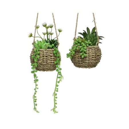 Succulent With Hanger Pe Foam Asst H22cm Green