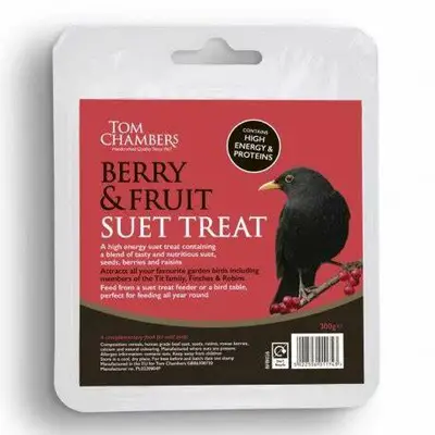 Suet Treat Berry Nice
