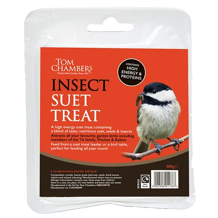 Suet Treat Insect