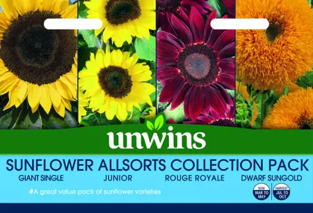 Sunflower Allsorts Collection Pack - image 1