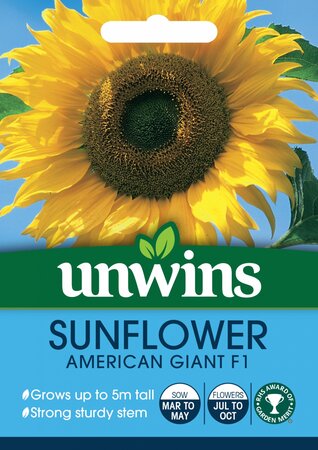 Sunflower American Giant F1 - image 1