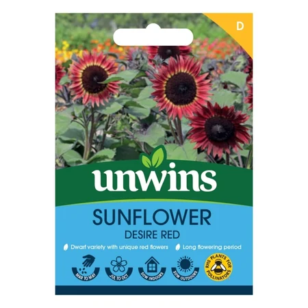 Sunflower Desire Red