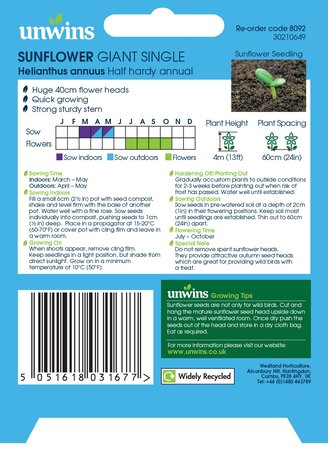 Sunflower Giant Single - image 2