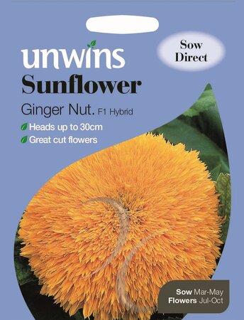 Sunflower Ginger Nut F1