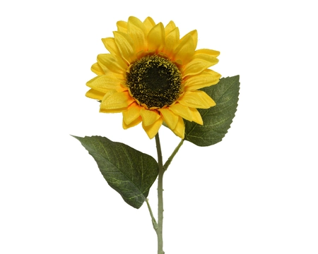 Sunflower H64Cm - image 1