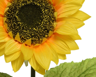 Sunflower H76Cm - image 2