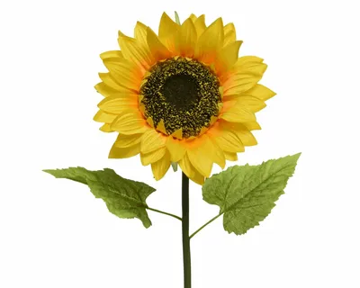 Sunflower H76Cm - image 1