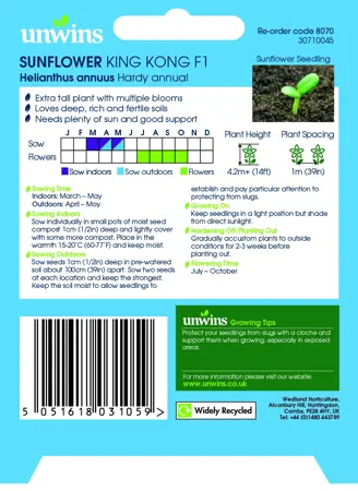 Sunflower King Kong F1 - image 2