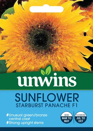 Sunflower Starburst Panache F1 - image 1